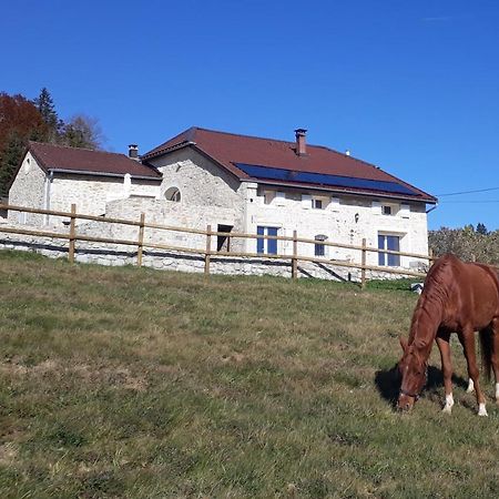Gite Des 3 Marches Lamoura Exterior photo