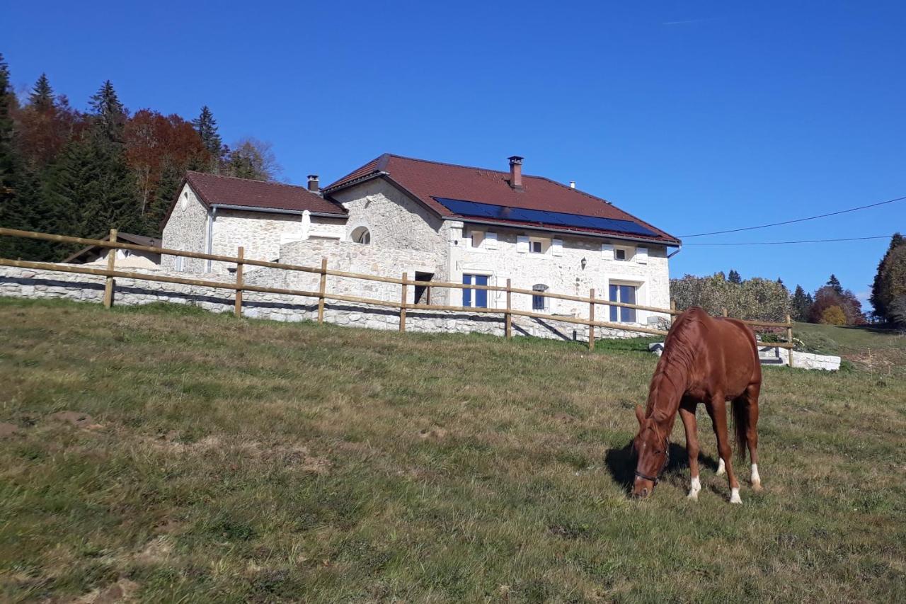 Gite Des 3 Marches Lamoura Exterior photo